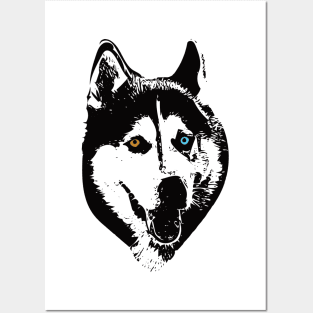 Siberian Husky Face Design Posters and Art